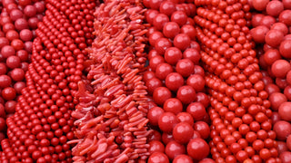 Corallo