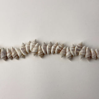 Filo di Conchiglia Naturale per Bigiotteria 15 x 6 mm