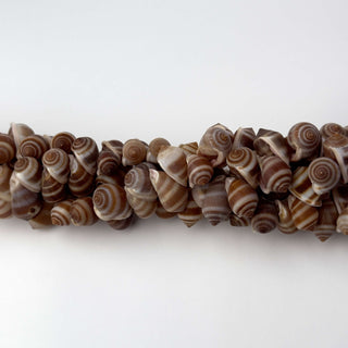 Filo di Conchiglia Naturale per Bigiotteria 20 x 12 mm