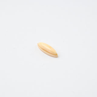Cabochon Nuvola di Crema Navetta 17x5x5mm