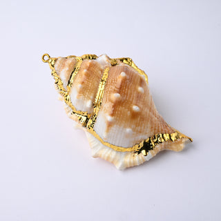 Pendente Conchiglia con Placcatura Dorata 72x45mm