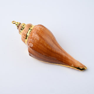 Pendente Conchiglia con Placcatura Dorata 65x45mm