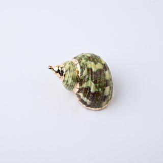 Pendente Conchiglia con Placcatura Dorata 30x28mm