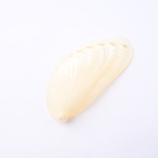 Pendente Conchiglia Abalone Lucidato 9x4 cm