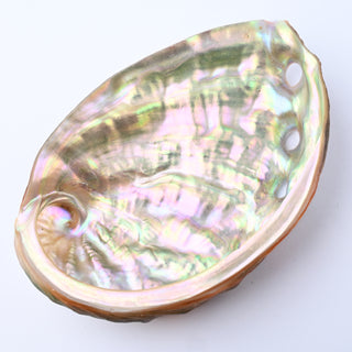 Pendente Conchiglia Abalone Grezzo 11x8 cm