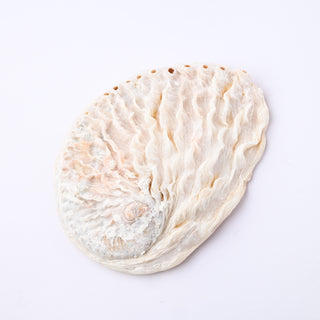 Pendente Conchiglia Abalone Fungel 10x7 cm