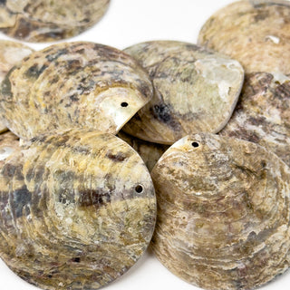 Pendenti in Madreperla Disco Grezzo 40mm - 10 pz