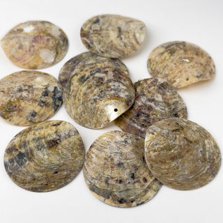 Pendenti in Madreperla Disco Grezzo 40mm - 10 pz