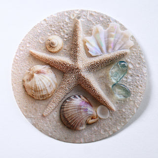 Pendente in Madreperla Stella Marina e Conchiglie Disco 60mm