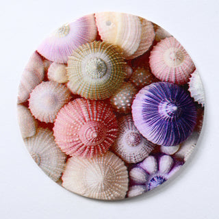 Pendente in Madreperla Ricci di Mare Disco 60mm